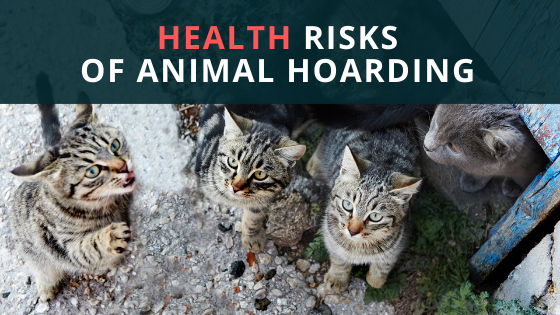 Health Risks of Animal Hoarding 