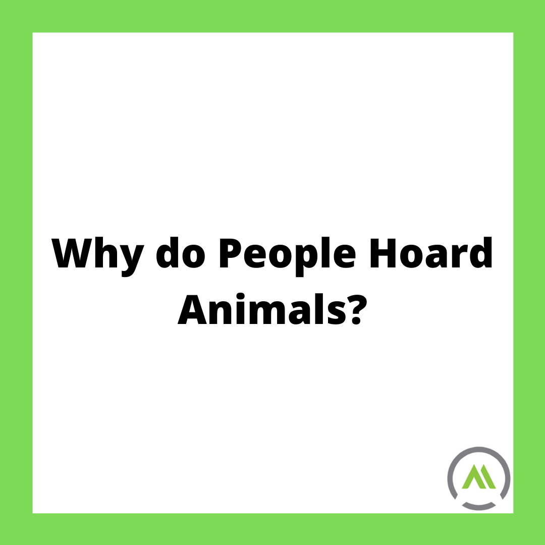 Why hoard animals