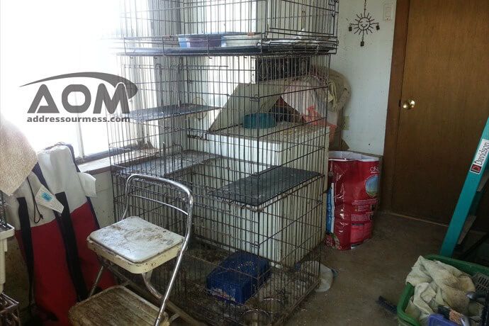 Animal Hoarding Cage