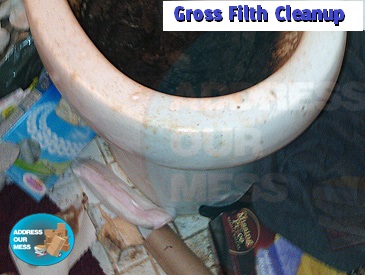 Gross Filth Cleanup